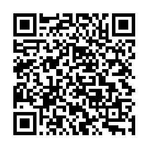 要是没有达到天风神帝的级别的话根本就没有办法破除二维码生成