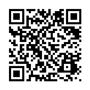要是能把它们都给带走就好了……二维码生成