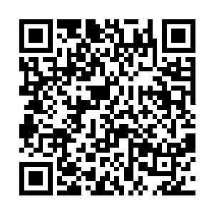 要是自己答应对方那么就成为最佳替死鬼和挡箭牌了二维码生成