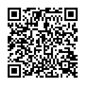 要是让这些人知道赵纯良在电梯里捡到了20亿美金的支票二维码生成