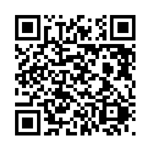 要是说叶灿上一轮的速度是闪电的话二维码生成