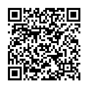 要是说这条不知明的小萌鱼算是披着羊皮的狼的话二维码生成