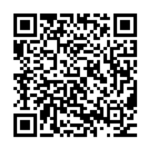 要是费瞳没说谎……这个聂云恐怕是皇子的几率足有八成以上二维码生成