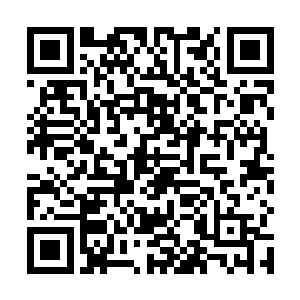 要是这个小妞知道斯卡拉的储物囊里还有这么一个东西二维码生成