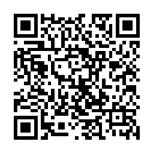 要是这几个学徒知道这个遗迹是深红大巫师所留下的话二维码生成