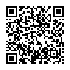 要是连她都起床那么他不得不怀疑这群少女是不是被改造了二维码生成
