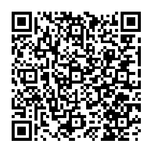 要是龙傲天猜的不错的话要是刚才有人攻击这个虚影的话这三把飞剑会毫不犹豫的二维码生成