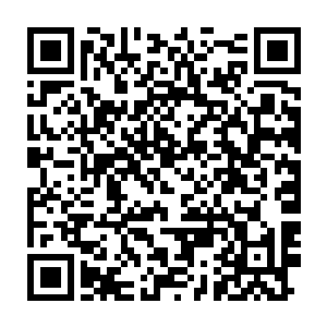 要查最近两年的材料交易绝对比唐劫一个人单打独斗要来得方便得多二维码生成