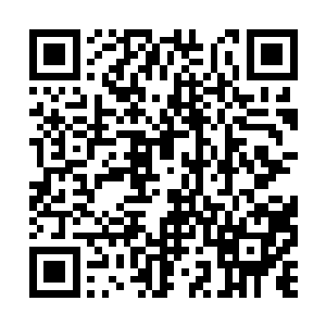 要格斯眼睁睁看着拳神世界陷入百年甚至千年血战二维码生成