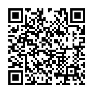 要比涅槃境之中一大重天之间的差距更大上许多倍二维码生成