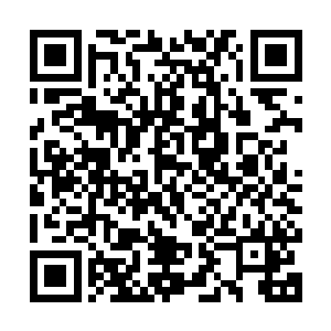 要看看圣石箭在面对符神王实力的符咒机能是不是照样轻松突破二维码生成