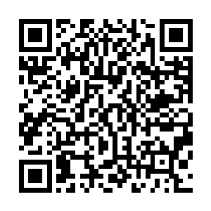 要知道一直以来徐征可都是把徐卫当做了自己的接班人培养二维码生成