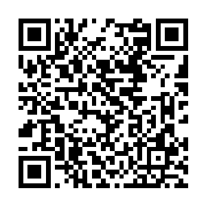 要知道今日准备挑战国教学院的那数十名修道强者二维码生成