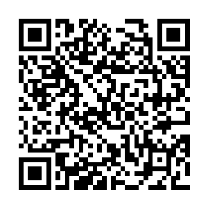 要知道他们里面估计就只有叶秋能够和这个人相抗衡了二维码生成