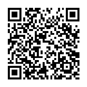 要知道以他们在秘境之中的收获的药材的价值来说二维码生成