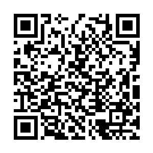要知道以往的时候在沅州城除了有数的几个人之外二维码生成