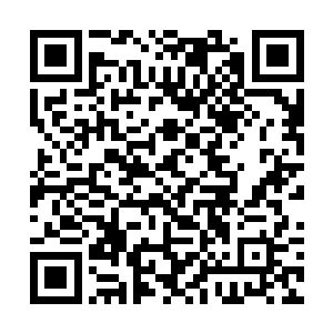 要知道先天元纹便是顶尖的王者都不一定有机缘遇到二维码生成