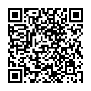 要知道大熊的后代不知道有多少人都是虎视眈眈的盯着二维码生成