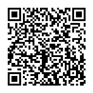 要知道杨戬现在的实力可是比一般的渡劫高手不知道强大了多少倍二维码生成