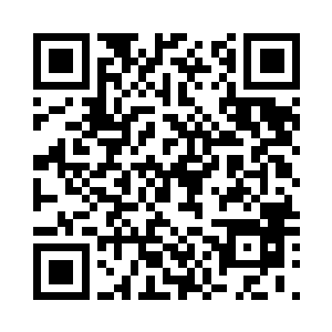 要知道王牌机甲团在整个军队的比例二维码生成