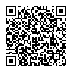 要知道现在龙傲天的神识可是化神顶峰的水平比他们不知道强大了多少倍二维码生成