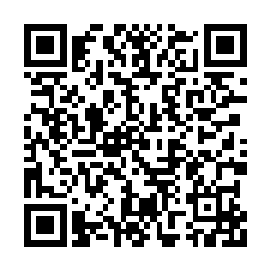 要知道眼前的老者那可是曾经的古神顶峰的高手二维码生成