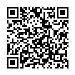要知道神游这个词在整个神武大陆知道的绝对是少之又少二维码生成