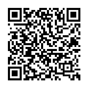 要知道苍澜宗在黑幕平原中还有着人尊期大修士二维码生成