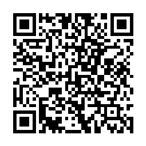 要知道蔡君扬这可是在以灵泉阶对抗脱凡境的灵压二维码生成