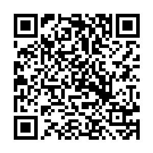 要知道观看渡劫这个对他们来说也是一个天大的机缘二维码生成