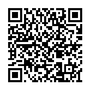 要知道这个悟道神茶顶多能够帮助他们突破境界二维码生成