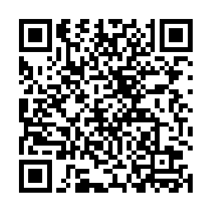 要知道这些药材很多都是神界之中几乎已经绝迹的东西二维码生成