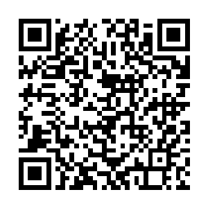要知道这十个人全都是界之力量第三重以上的高手啊二维码生成