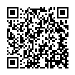 要知道这秘境前后两次开启时间至少一百五十年起二维码生成