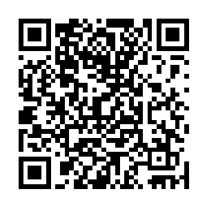 要等到外面那两个月亮之中的一个变成弦月的时候才会关闭二维码生成