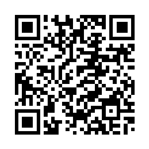 要素汲取系统功率全方位开动……二维码生成