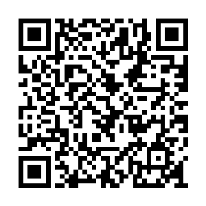 要自己辞职还得经过红珊瑚资本的同意才可以呢二维码生成
