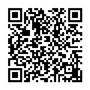 要让我们一家人在黑炎城维持着最基本的体面生活下去二维码生成