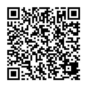 要说不是她吧却是很多人曾经看到过她在打劫那些进出三大城的修士二维码生成