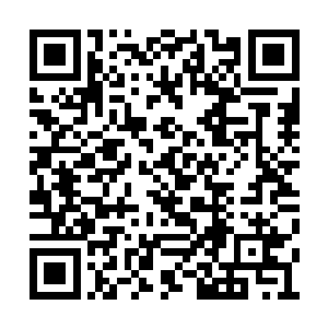 要说六十多只王者种这样的消息就已经足够震撼二维码生成