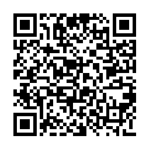 要说天师府的人是来给秦宇的大师宴送上祝贺的二维码生成