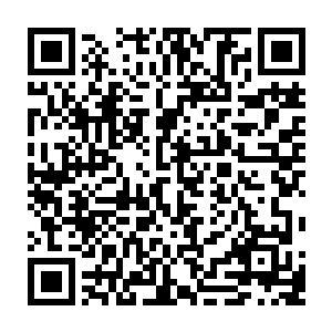 要说架势……我摆出来的架势和天马行空本人在嘲讽树林里做的是一样的二维码生成