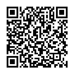 覆盖住方圆十里的符阵表面看上起是一团好大的雾团二维码生成