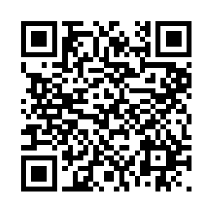 见世龙家族的代表脸上红一阵白一阵二维码生成