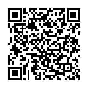 见云落落拖着弟弟狂奔着去自己的房间准备出行二维码生成