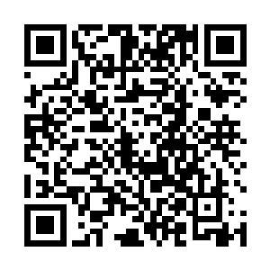 见他一双眼睛果然因为怒气和屈辱而显得格外明亮闪烁二维码生成