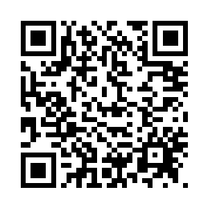 见任九已经将董炎风的记忆重新植入二维码生成