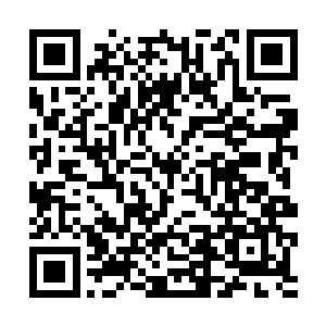 见來自天元大陆的各大势力代表全部都來到了城墙上二维码生成