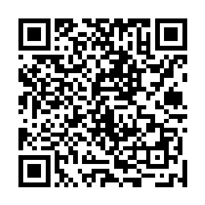 见到一个连古神后期都没有达到的人手中竟然有如此神兵二维码生成