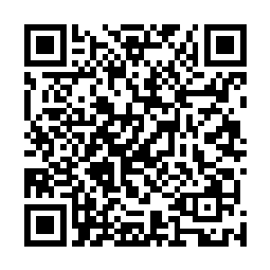 见到五个出手的女子中修为最高的只是一个仙帝后期巅峰二维码生成